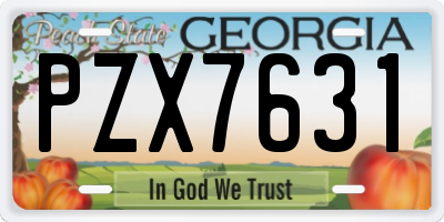 GA license plate PZX7631