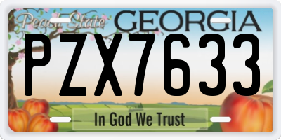 GA license plate PZX7633