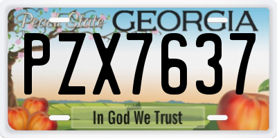 GA license plate PZX7637