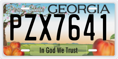 GA license plate PZX7641