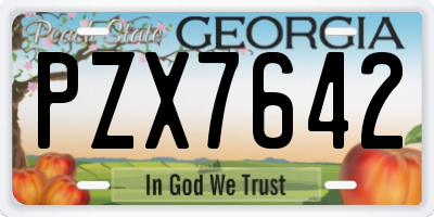 GA license plate PZX7642