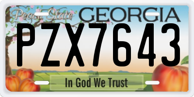 GA license plate PZX7643
