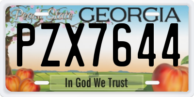 GA license plate PZX7644