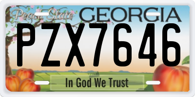 GA license plate PZX7646