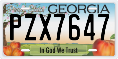 GA license plate PZX7647