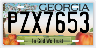 GA license plate PZX7653
