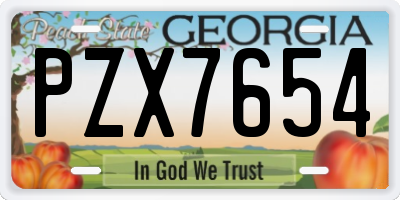 GA license plate PZX7654