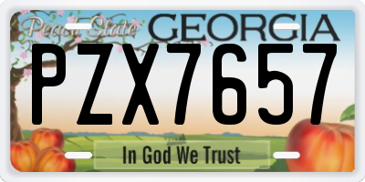 GA license plate PZX7657