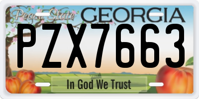GA license plate PZX7663