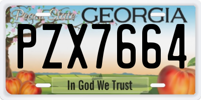 GA license plate PZX7664
