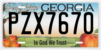 GA license plate PZX7670
