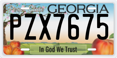 GA license plate PZX7675