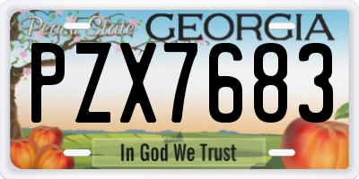 GA license plate PZX7683