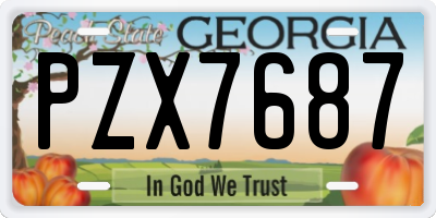 GA license plate PZX7687