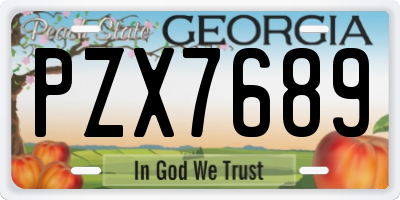 GA license plate PZX7689