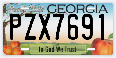 GA license plate PZX7691