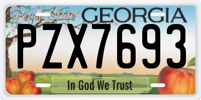 GA license plate PZX7693