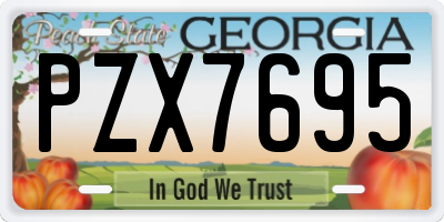 GA license plate PZX7695