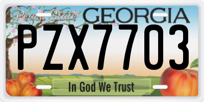 GA license plate PZX7703