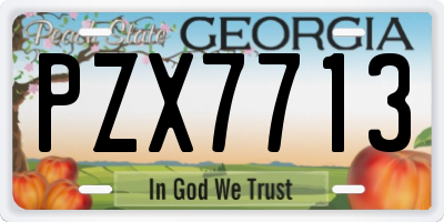 GA license plate PZX7713