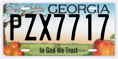 GA license plate PZX7717