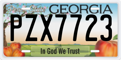 GA license plate PZX7723