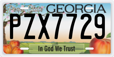 GA license plate PZX7729