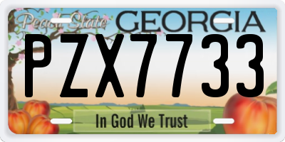 GA license plate PZX7733