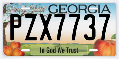 GA license plate PZX7737