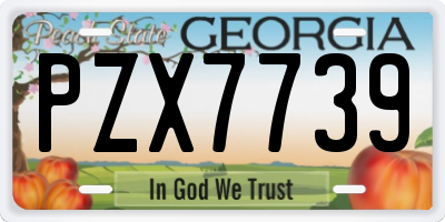 GA license plate PZX7739