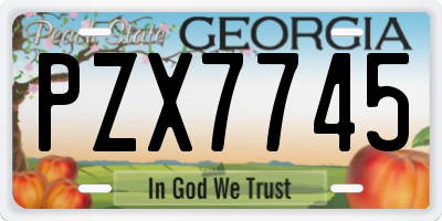 GA license plate PZX7745