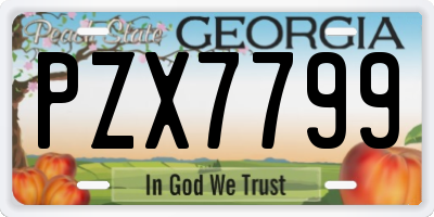 GA license plate PZX7799