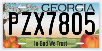 GA license plate PZX7805