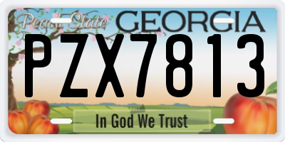 GA license plate PZX7813