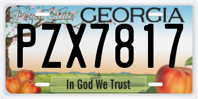 GA license plate PZX7817
