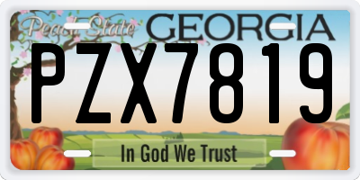 GA license plate PZX7819