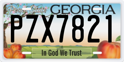 GA license plate PZX7821