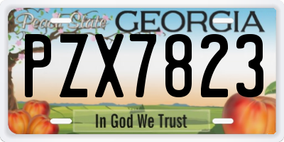 GA license plate PZX7823