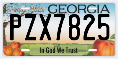 GA license plate PZX7825