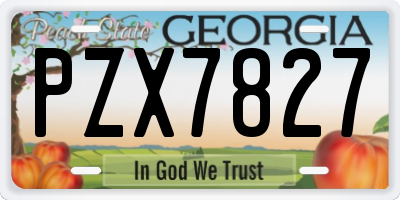 GA license plate PZX7827