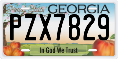 GA license plate PZX7829