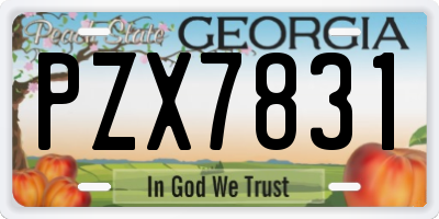 GA license plate PZX7831