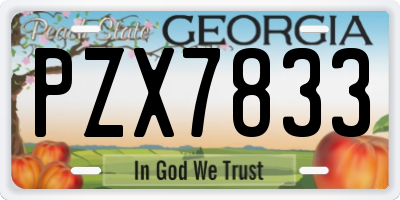 GA license plate PZX7833