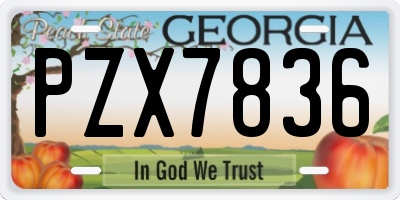 GA license plate PZX7836