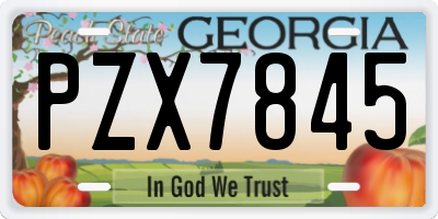 GA license plate PZX7845