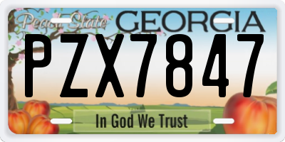 GA license plate PZX7847