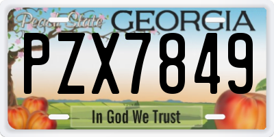 GA license plate PZX7849