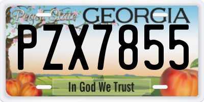 GA license plate PZX7855