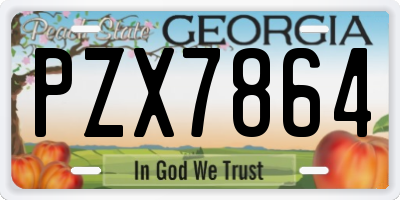 GA license plate PZX7864