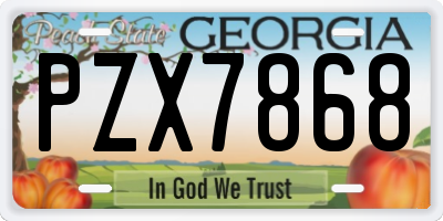 GA license plate PZX7868